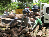 2009年度の「粘土カフェ」の活動2