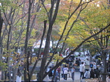 奈良女書道部の学祭展