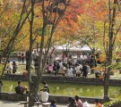 奈良女子大学書道部の「学祭展」