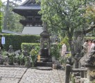 早春の京都で「お茶会」