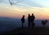 母と大和の社寺めぐり