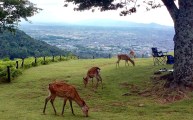 6月の活動