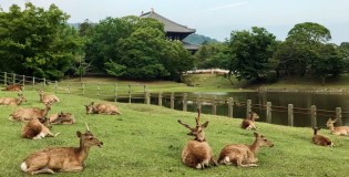 6月の活動