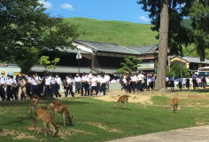 6月・7月の活動