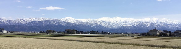 4月の活動