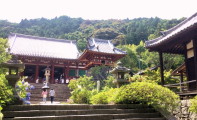 矢田寺