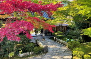 京都大原「宝泉院」