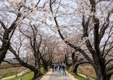 京都府八幡市